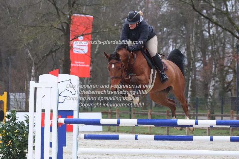 Preview maike bernstorf mit it s lucky lady go IMG_0216.jpg